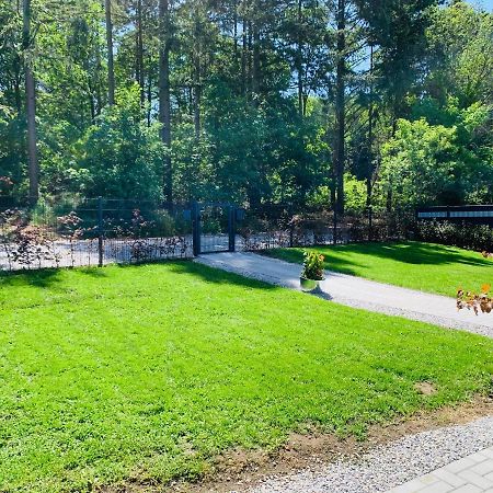 Ferienhaus 2 Im Harz Niehoff Darlingerode المظهر الخارجي الصورة